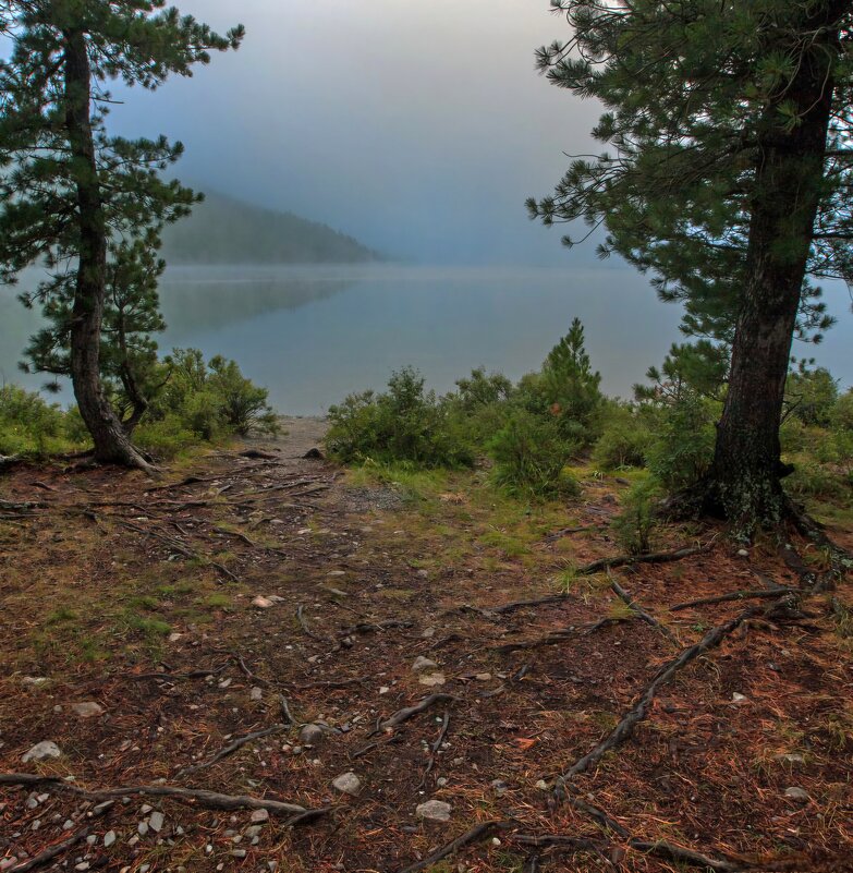 Озеро утреннее - Виктор Фоменко