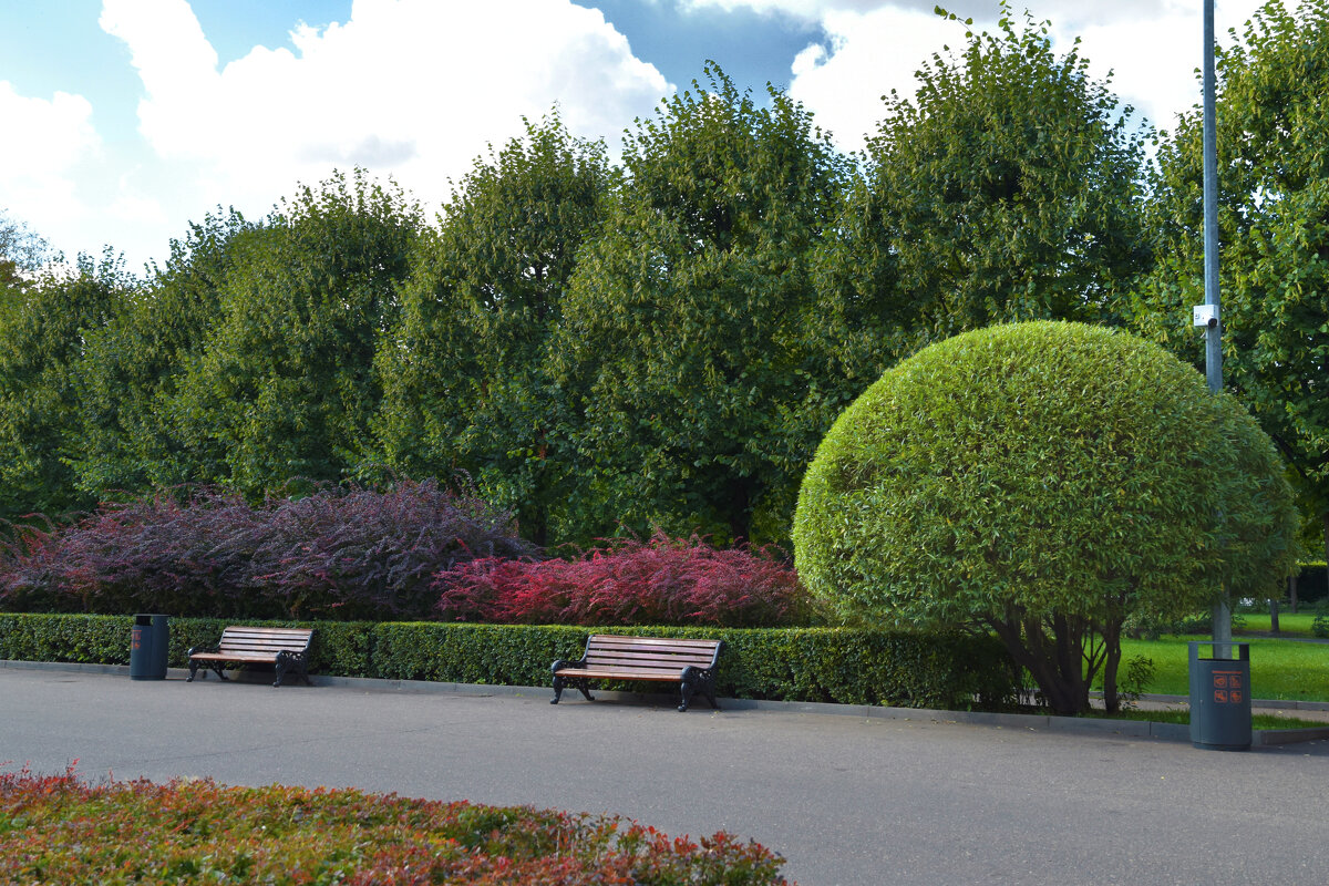 Парк - Валерий Пославский Парк - Валерий Пославский