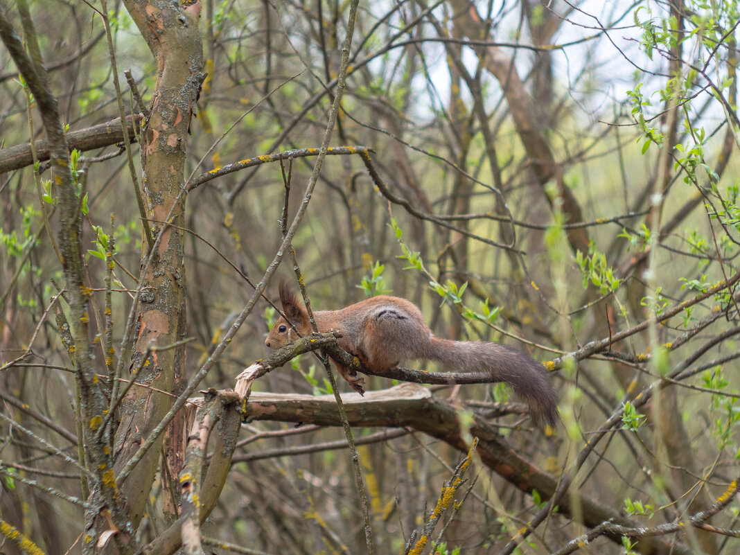 ___ - Yuriy V ___ - Yuriy V