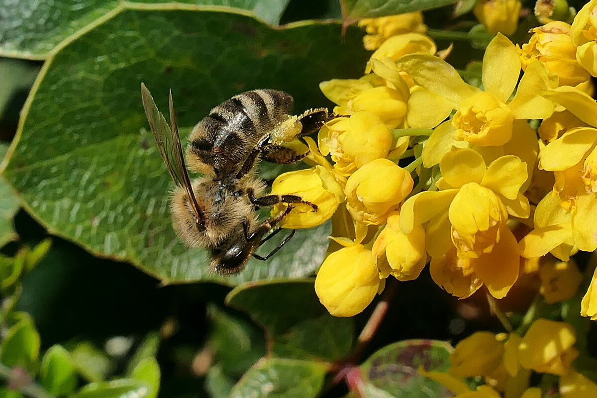 Скоро лето... - igor G.