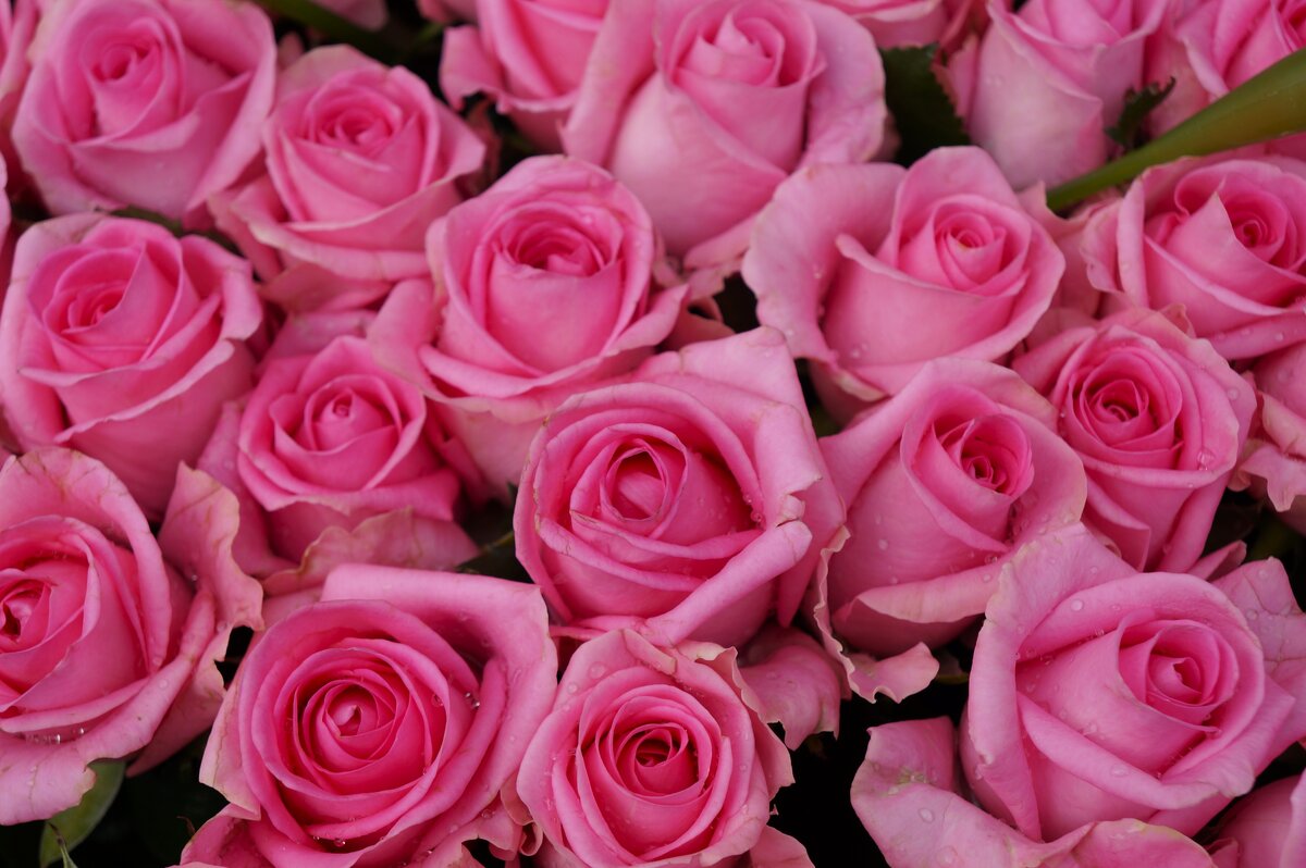 ** *** ** - Алёна Савина ** *** ** - Алёна Савина