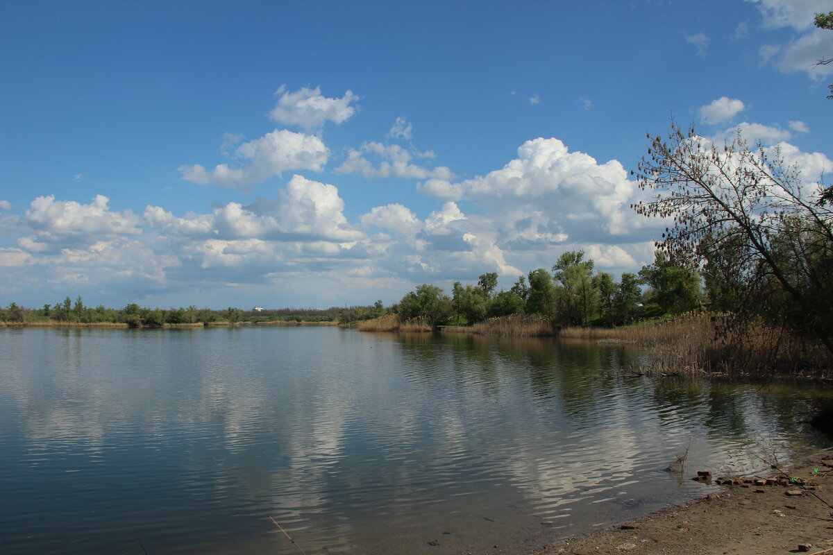 Дон. - Виктор Дон. - Виктор