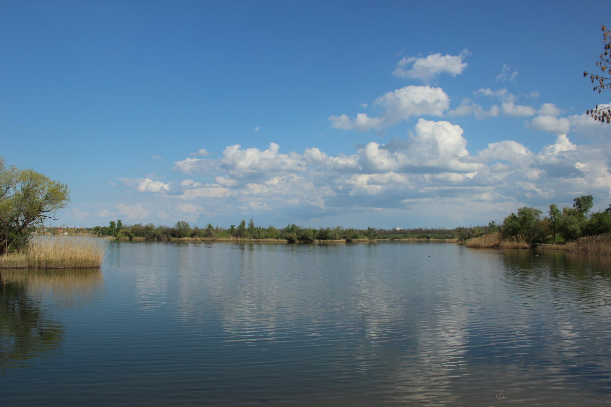 Донские виды. - Виктор Донские виды. - Виктор