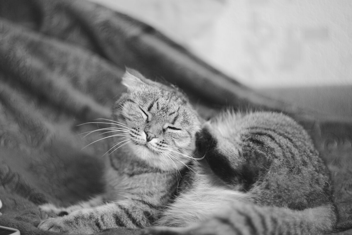 Процедуры - Владислав Левашов