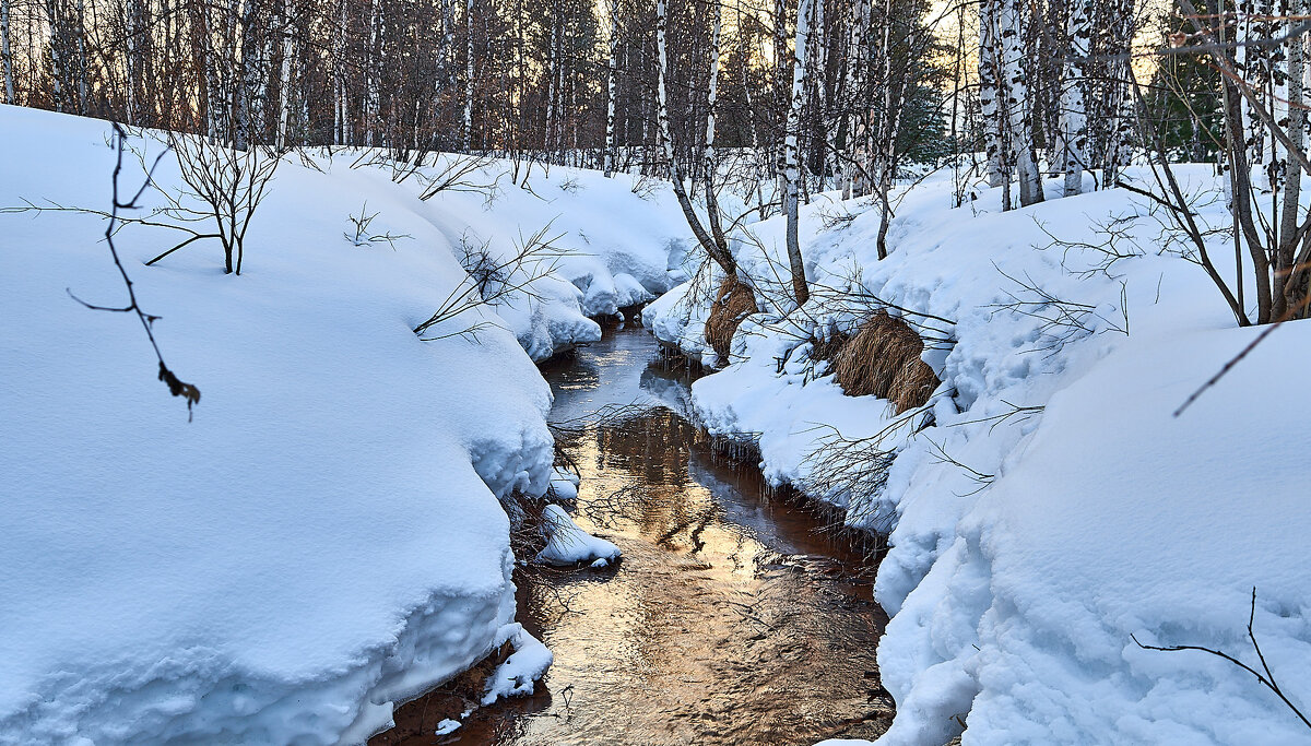 Весна пришла - Игорь Шабалин