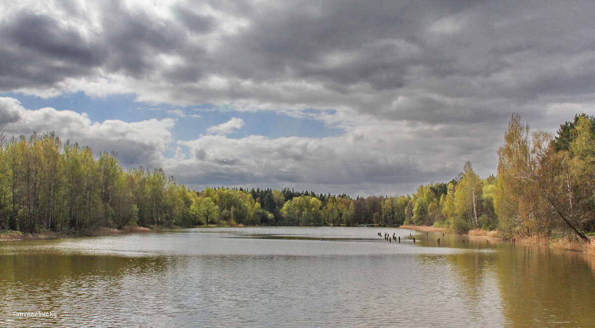 ПОДМОСКОВЬЕ... - mveselnickij ПОДМОСКОВЬЕ... - mveselnickij