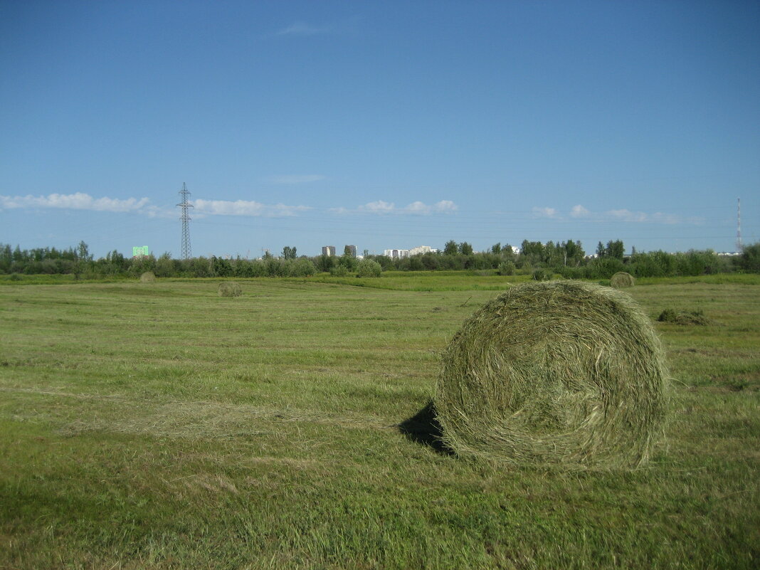 Сенокос - Anna Ivanova Сенокос - Anna Ivanova