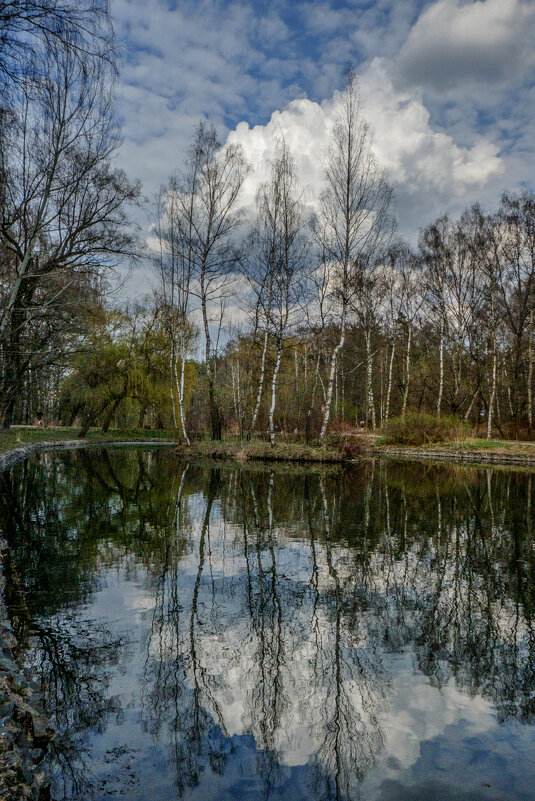 Днём на Путяевских прудах. Весна. - Василий Ярославцев