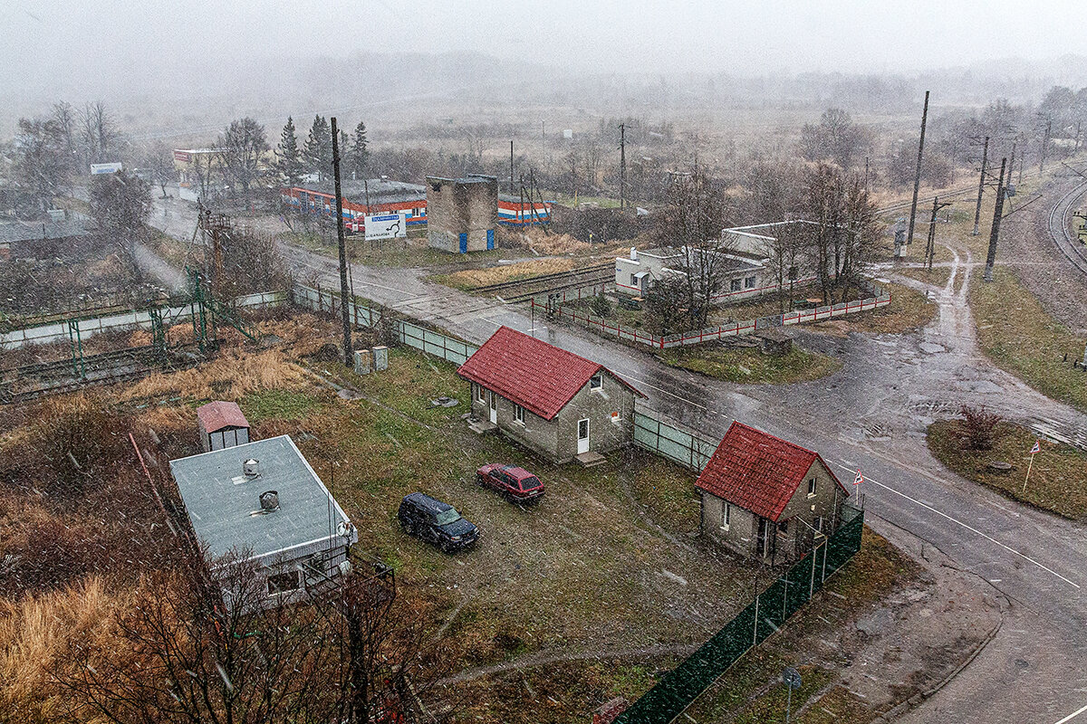 Пионерский - Дмитрий 