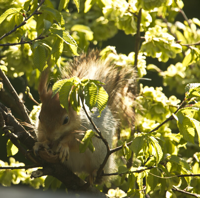 эй, где вы? - Владимир Зырянов