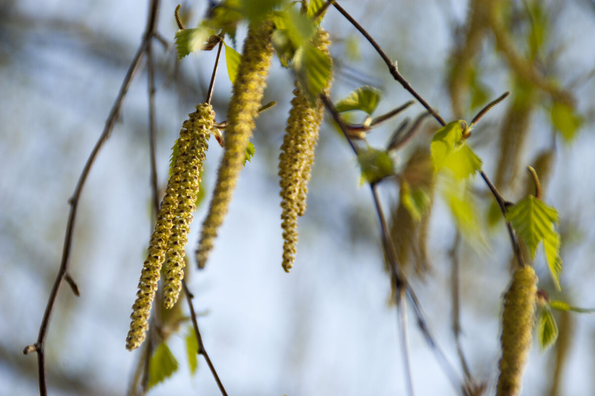 ... - Елена Пономарева