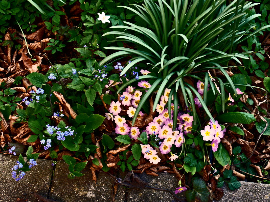 Весенние зарисовки 114 - Алексей Кузнецов