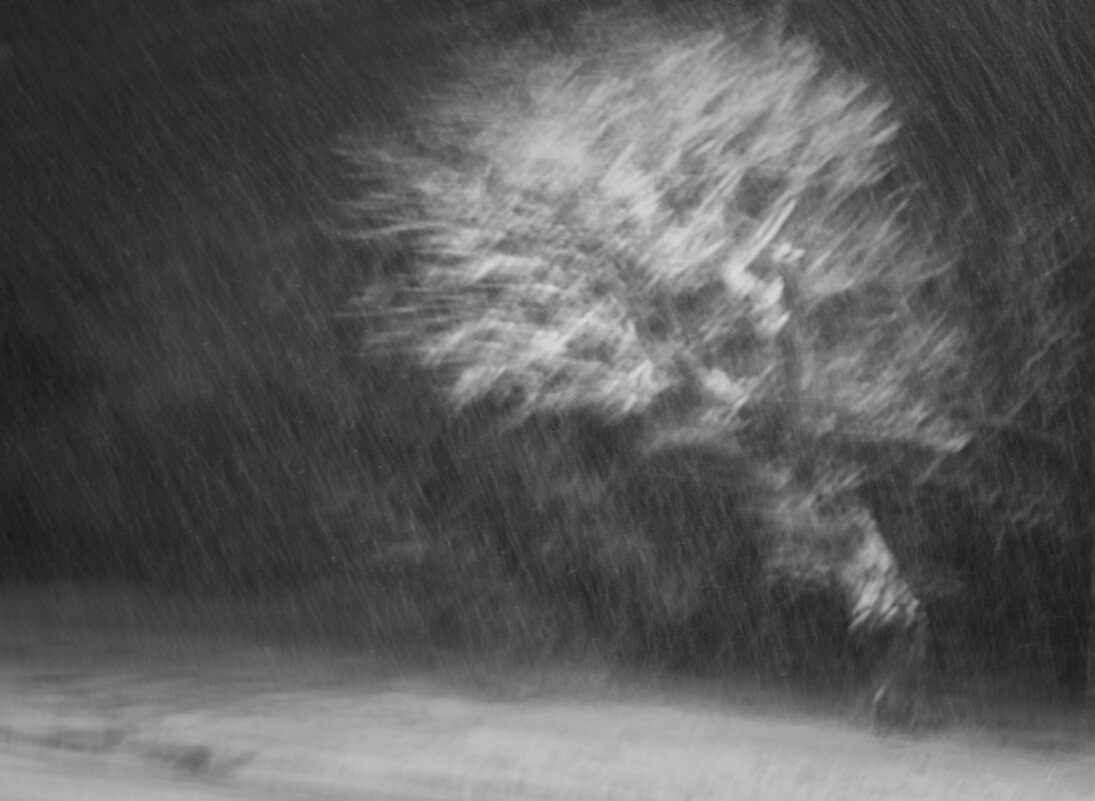 *** - Viktoria Anufrieva *** - Viktoria Anufrieva