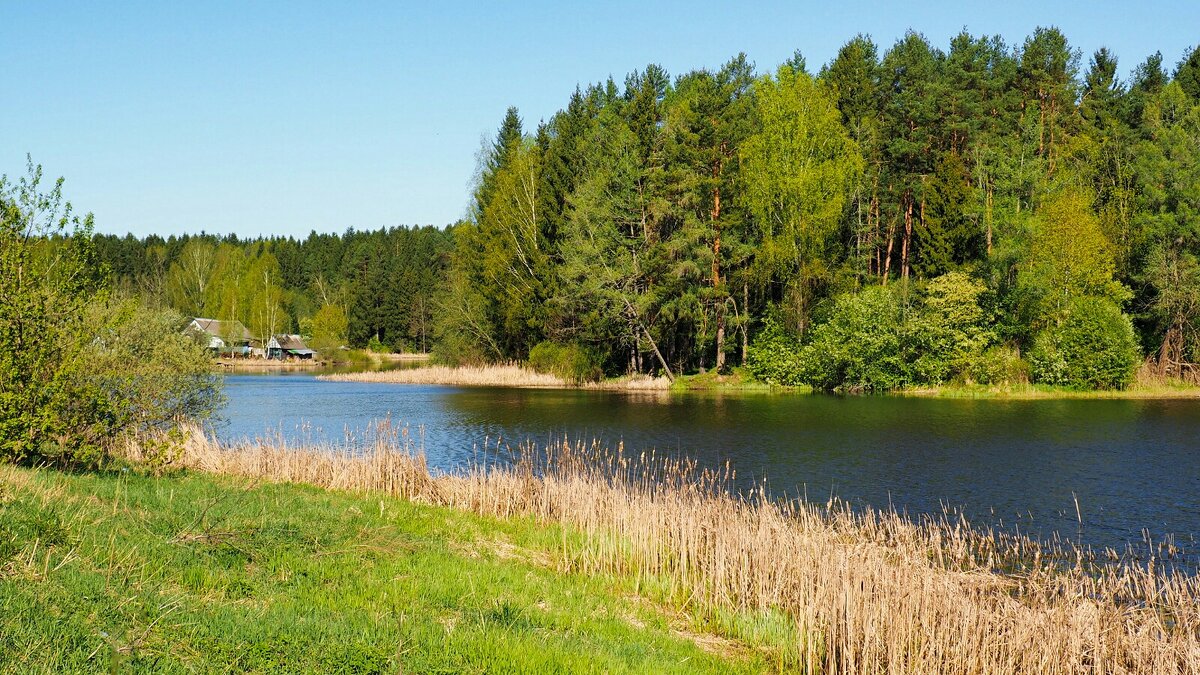 Весна в мае - Милешкин Владимир Алексеевич Весна в мае - Милешкин Владимир Алексеевич