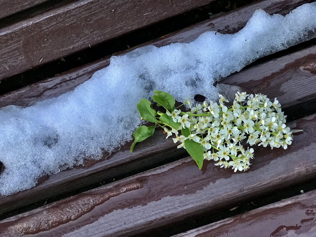 02.05.25г. - Любовь 