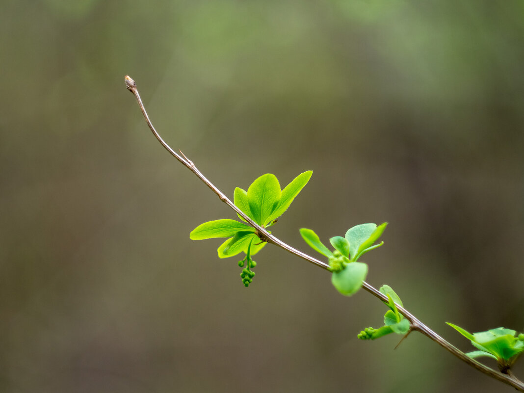 ___ - Yuriy V ___ - Yuriy V