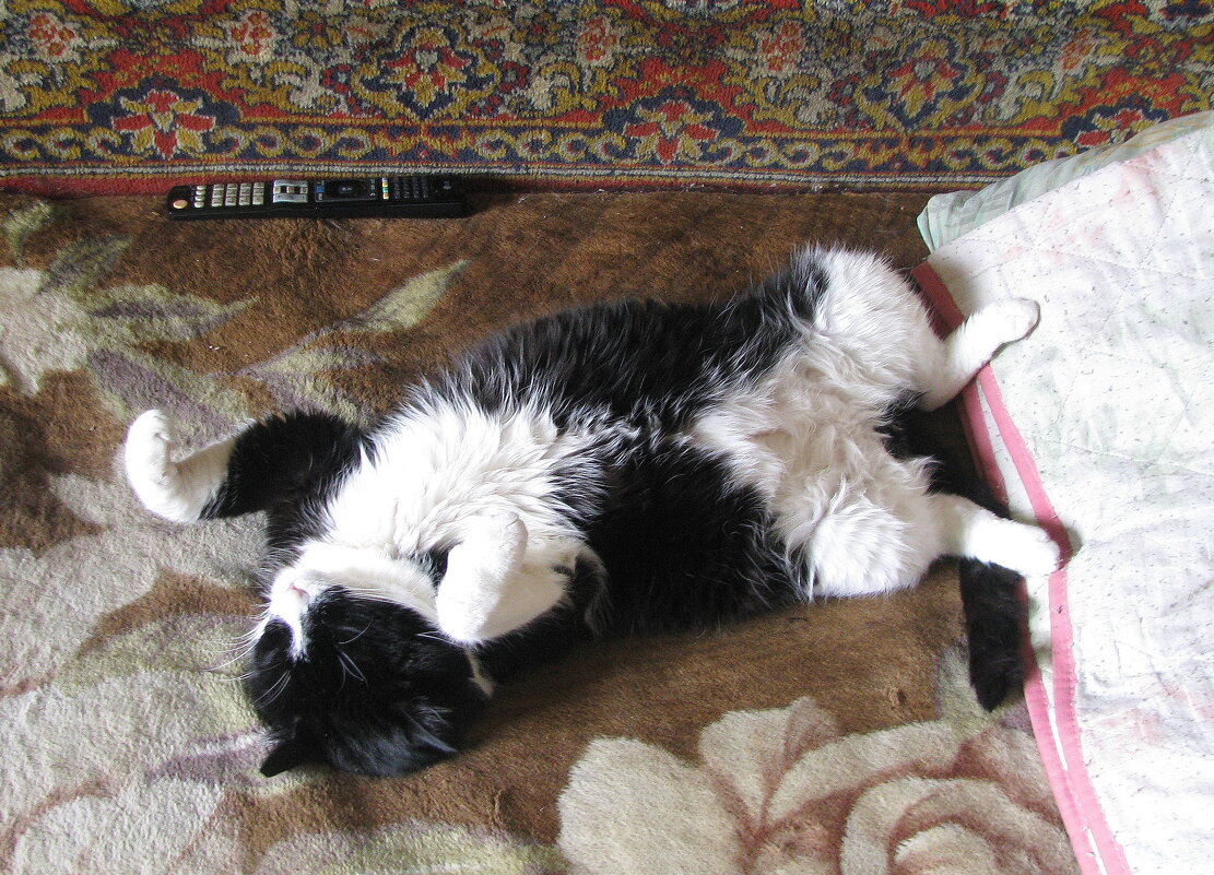 Полный кайф - Людмила Смородинская Полный кайф - Людмила Смородинская