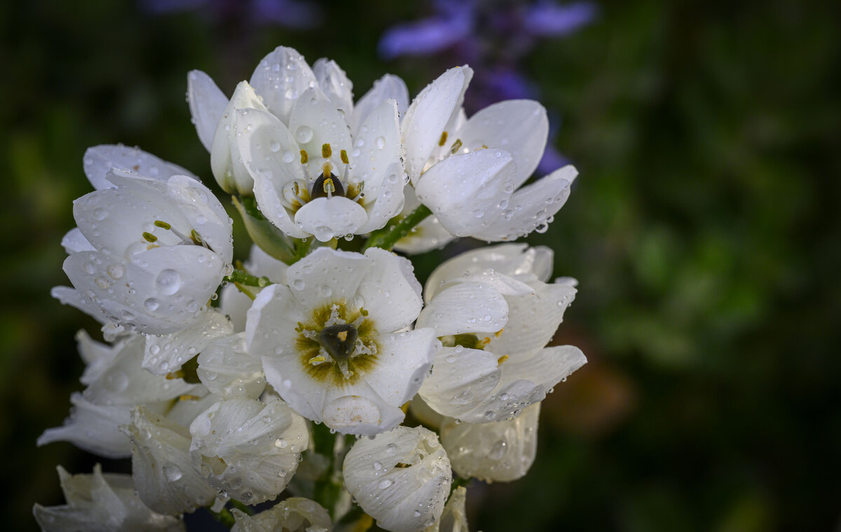 круиз по балкончику - Осень 