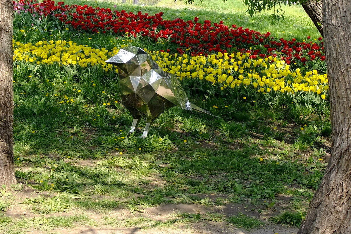 Серебряная птица - Фёдор Меркурьев