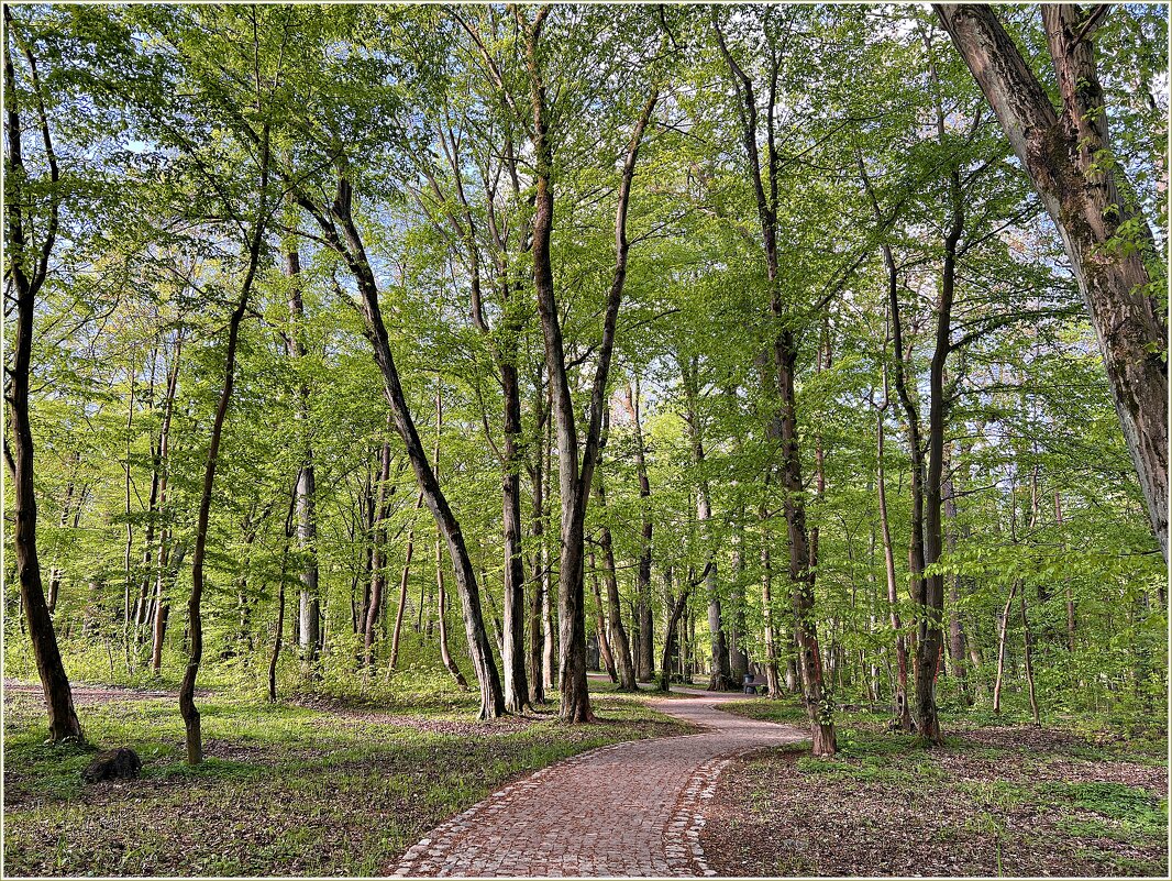 Апрель в парке. - Валерия Комова Апрель в парке. - Валерия Комова
