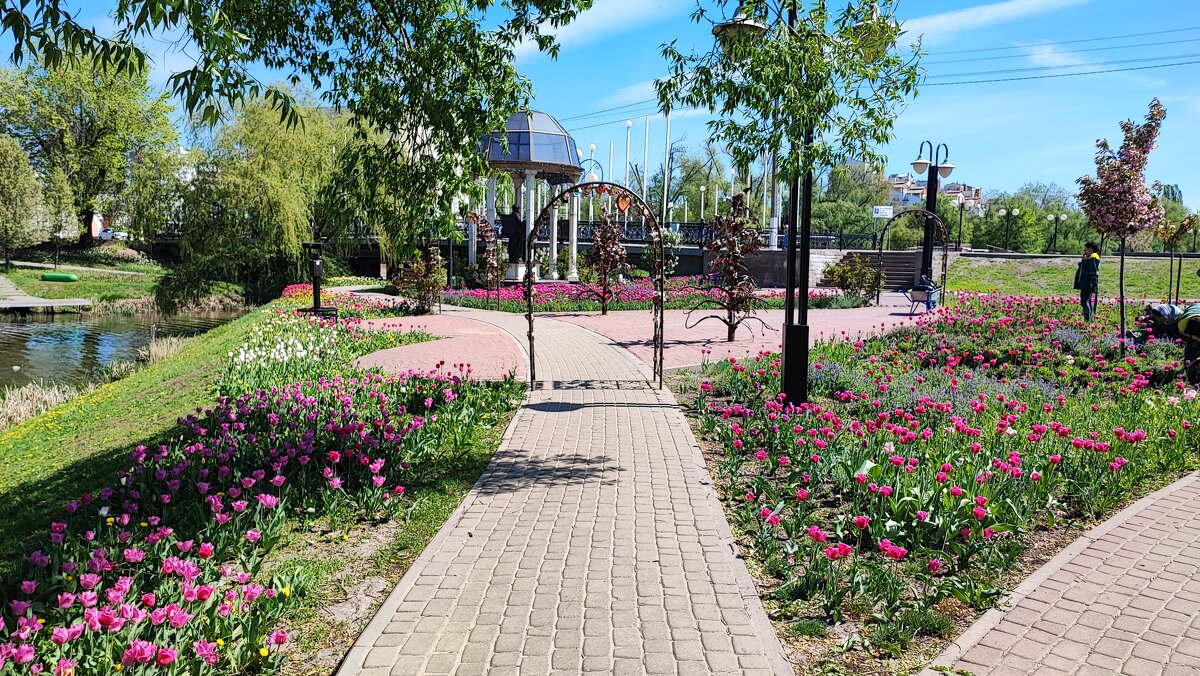 ,,, - Сергей Тимоновский