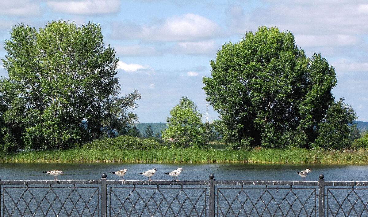 Туристический причал Болгары - Александр Ильчевский 