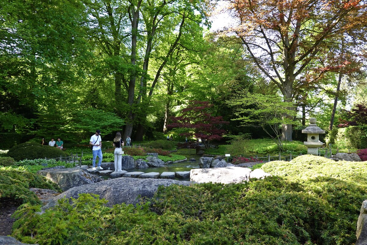 Японский садик... - Галина Японский садик... - Галина