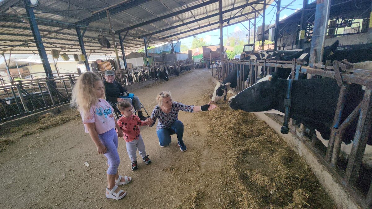 Бабушка погладит коровку. - Светлана Хращевская