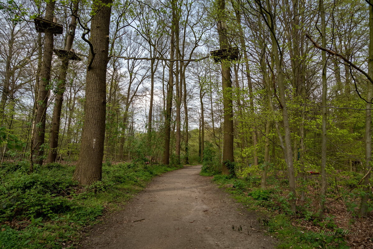 *** - Николай Гирш *** - Николай Гирш