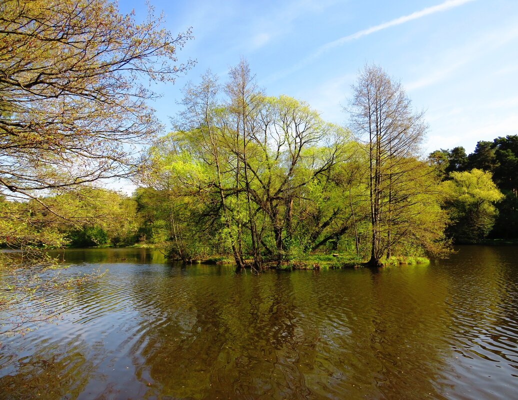 Зеленеющий остров - Андрей Снегерёв