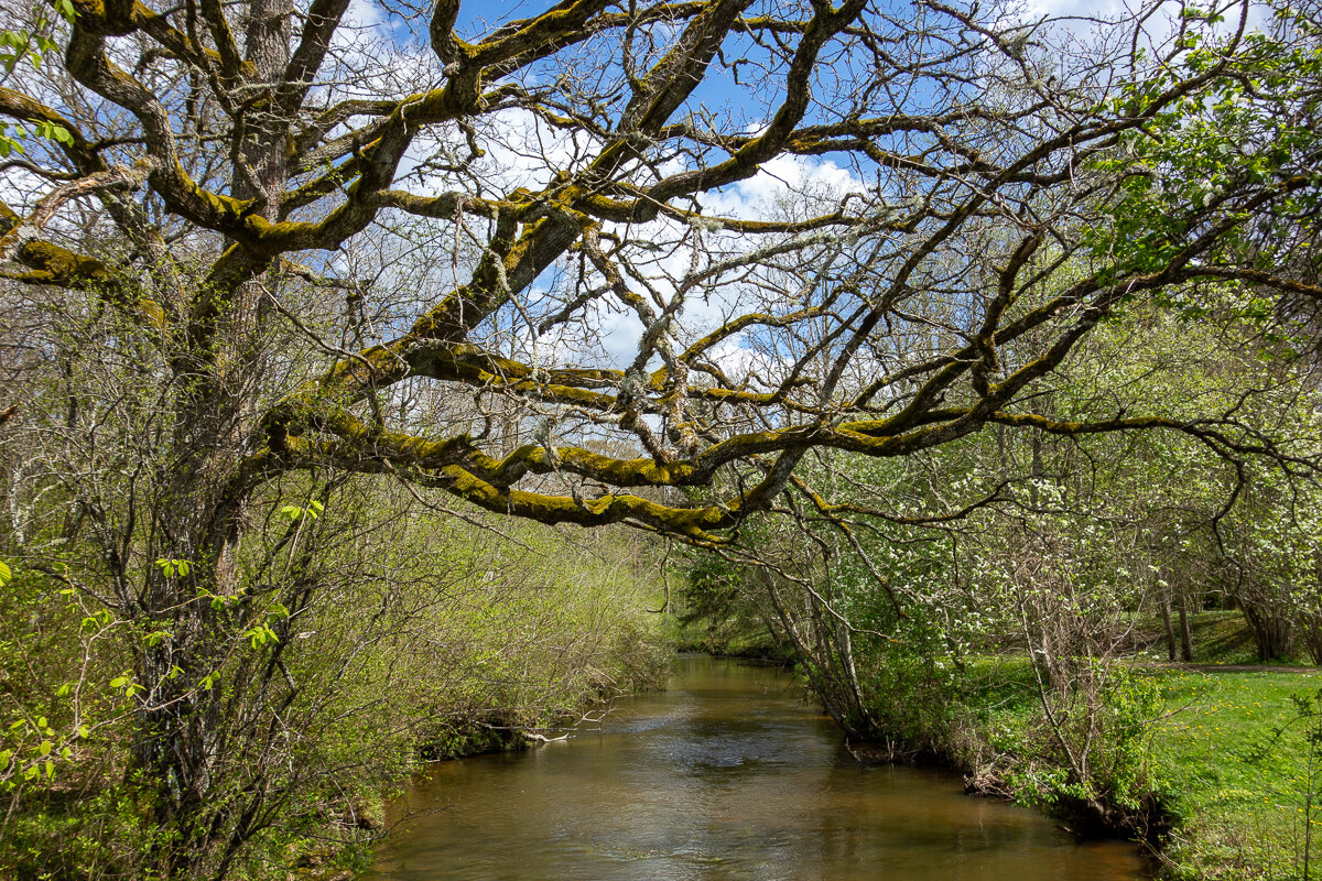 *** - Геннадий Порохов