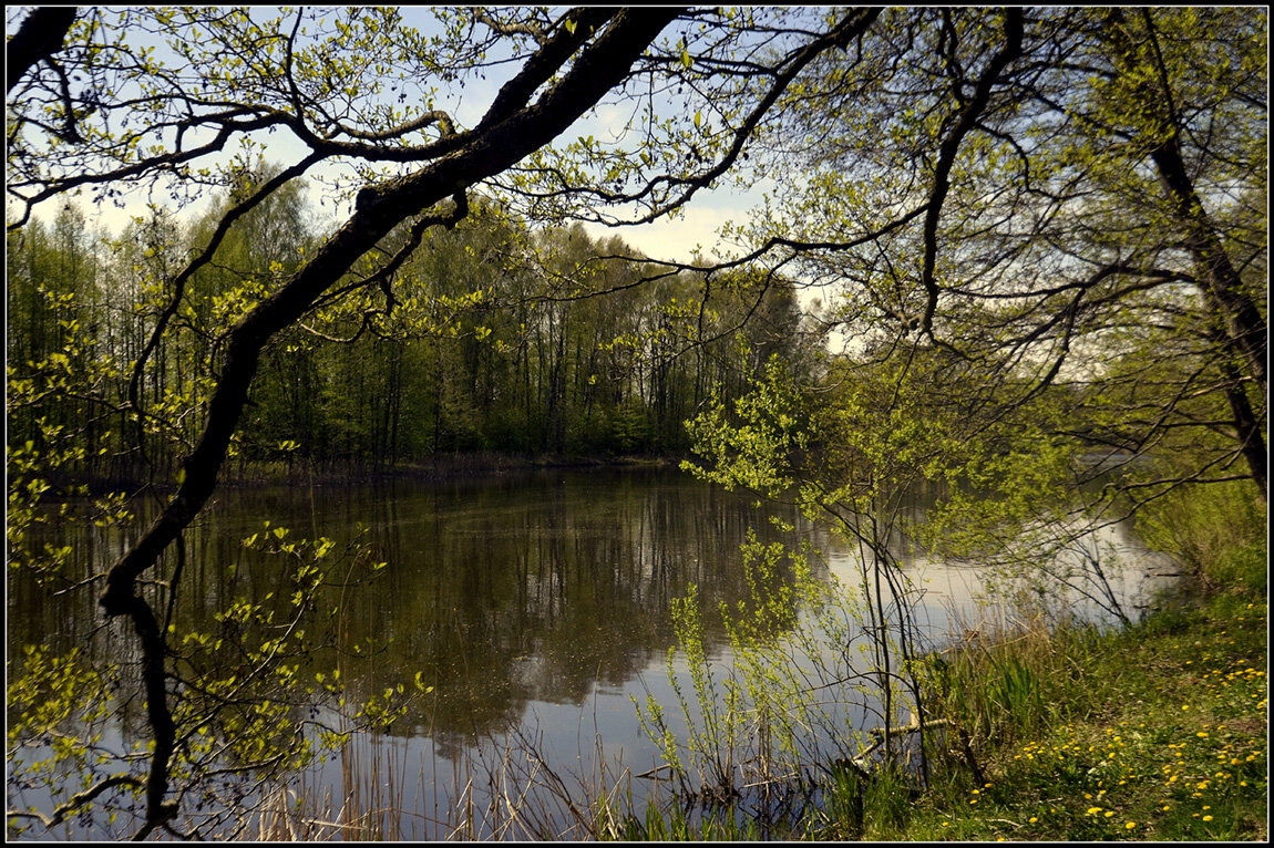 У озера - Aleksandr Gal