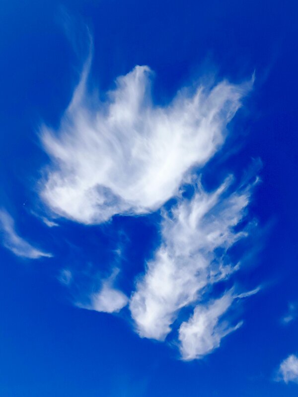 Весенний привет - Татьяна Пальчикова Весенний привет - Татьяна Пальчикова