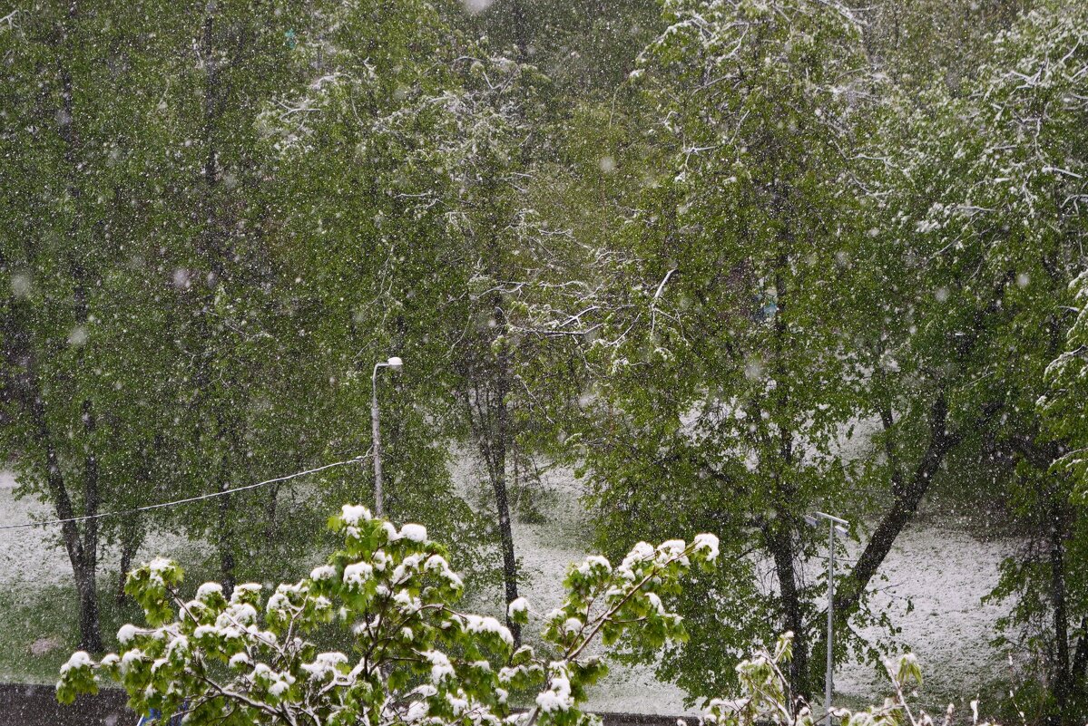 Вид из окна - Сергей Золотавин Вид из окна - Сергей Золотавин