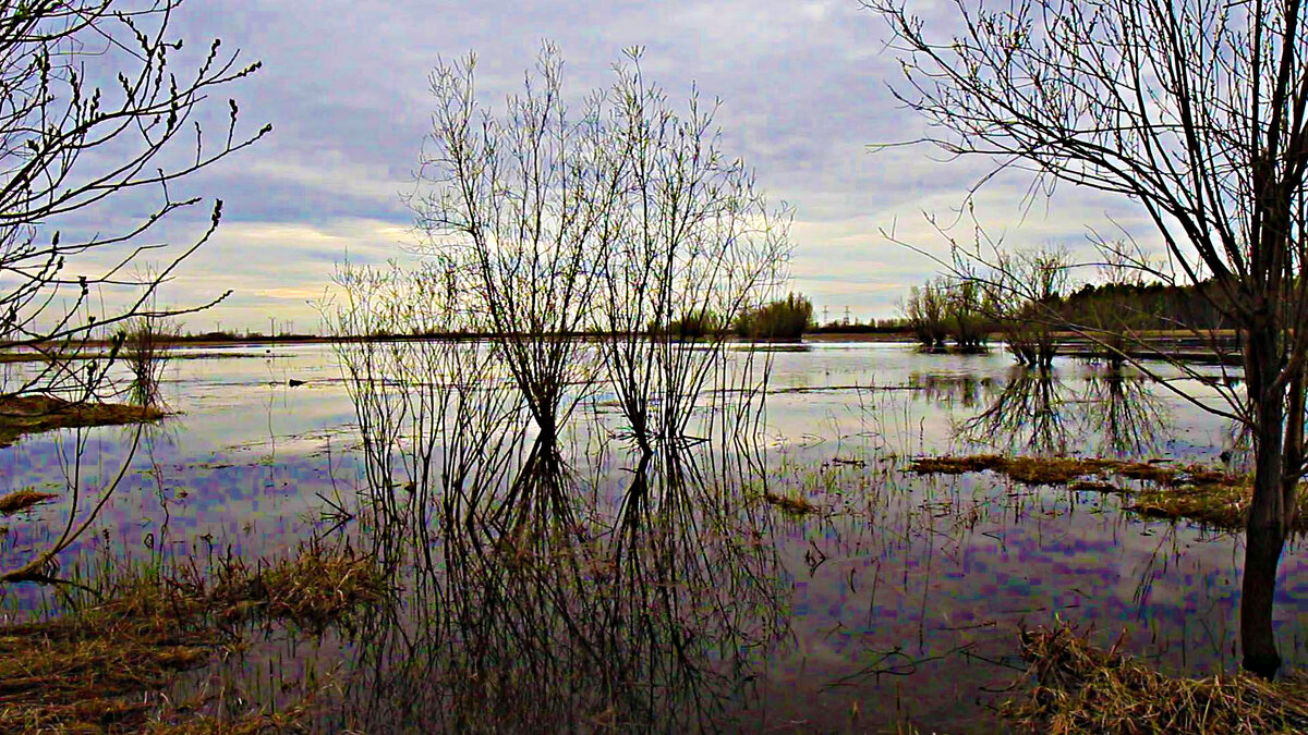 Май...Разлив протоки Чеускина! - Владимир 