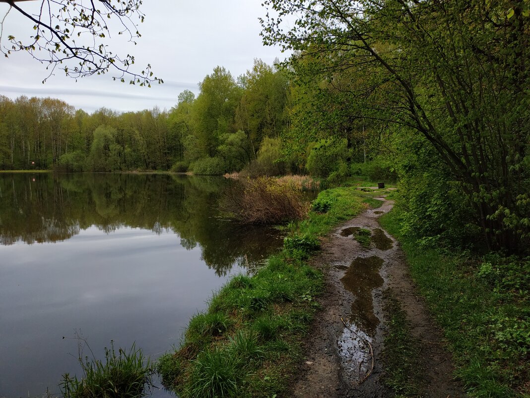 * * * - Андрей Лукьянов