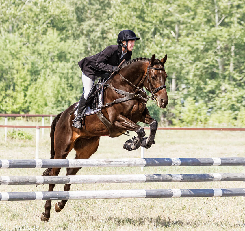 Конкур - SanSan 