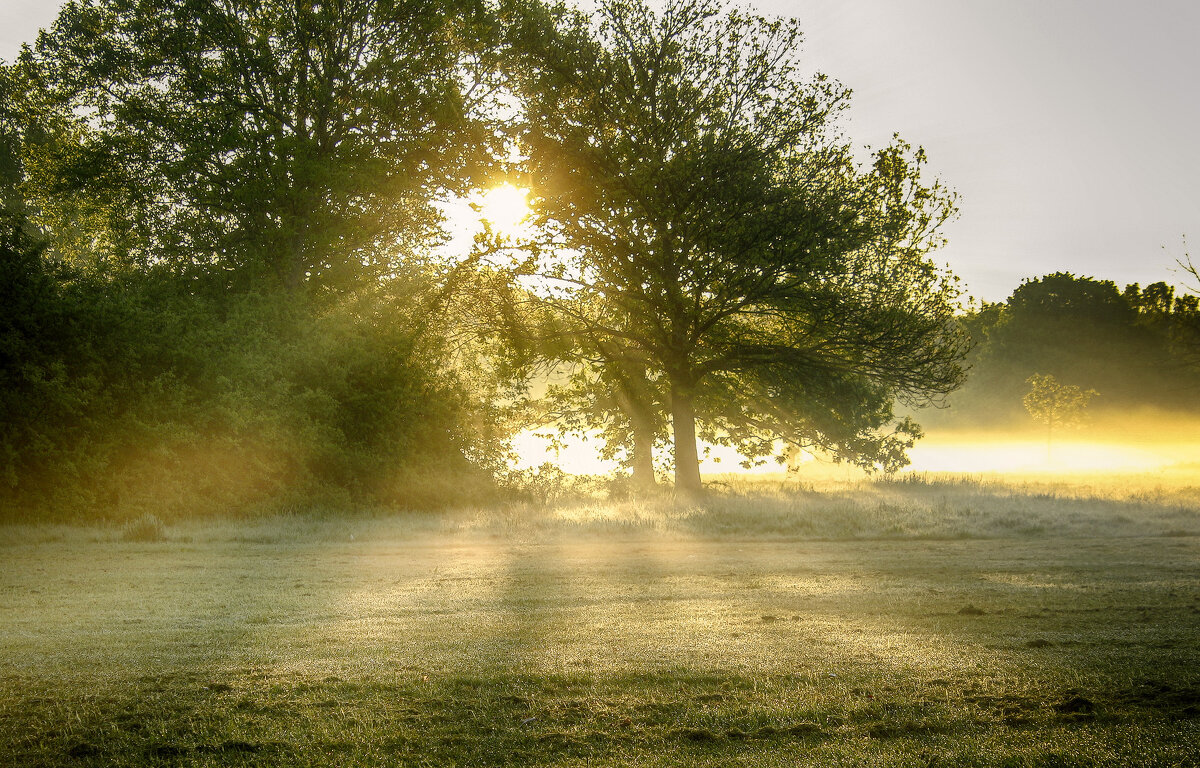****** - Андроник Александр ****** - Андроник Александр