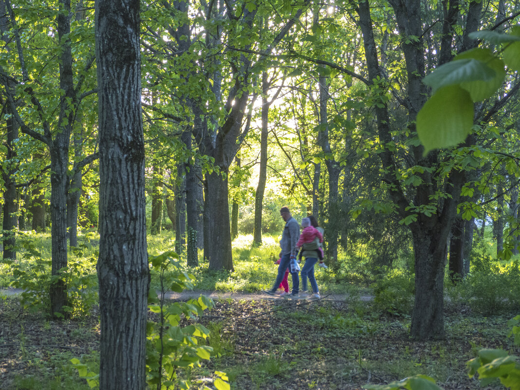 В ботаническом  саду Н В Багрова - Валентин Семчишин