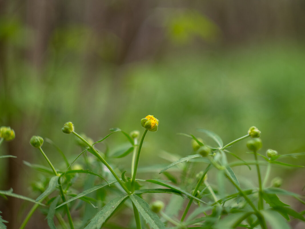 ___ - Yuriy V ___ - Yuriy V