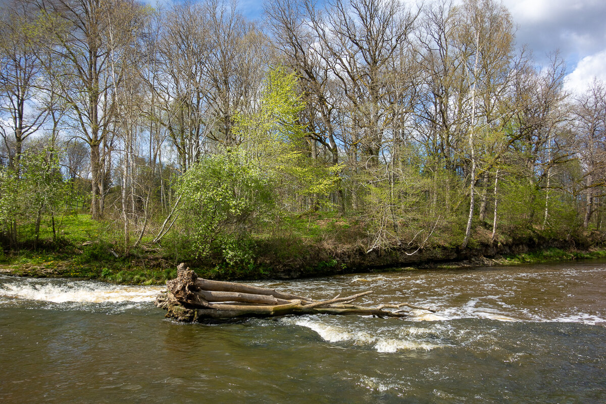 *** - Геннадий Порохов *** - Геннадий Порохов