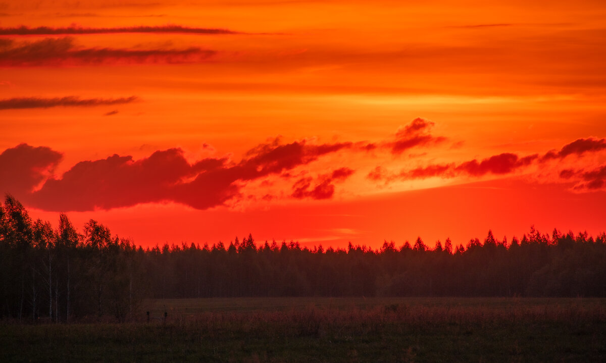 Пейзаж - Sergei Vikulov Пейзаж - Sergei Vikulov