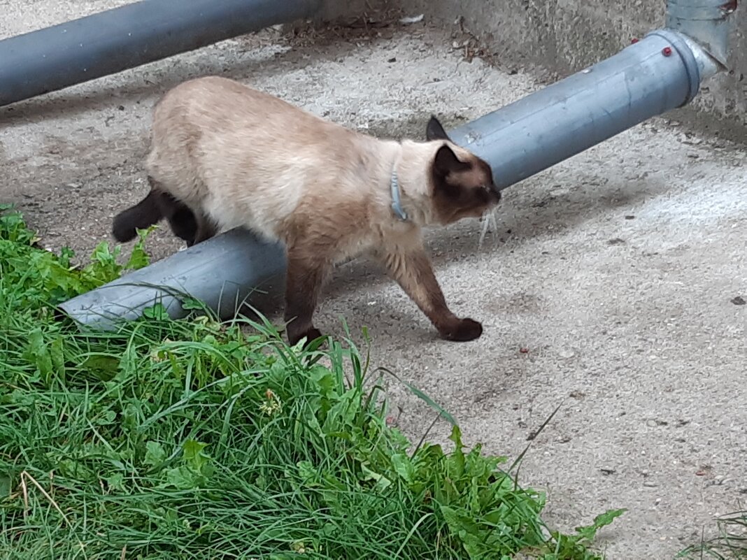 Гусев - Галина Минчук