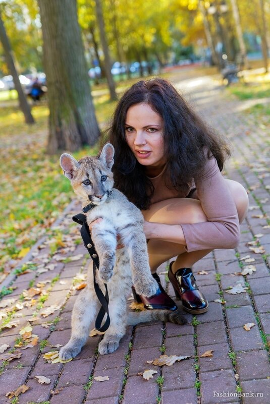 Cats (Jane & puma Marselle) - Михаил Трофимов