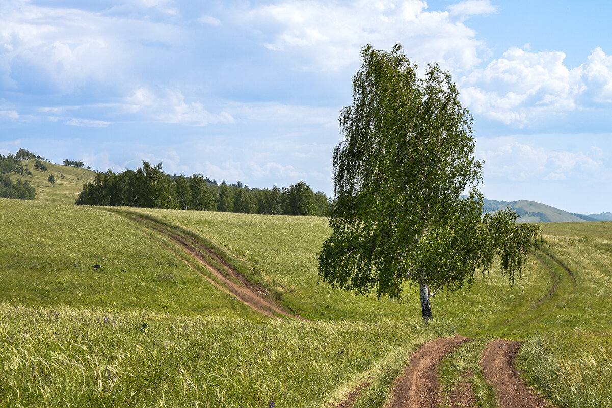 Русская Душа ... - Maxxx© Русская Душа ... - Maxxx©