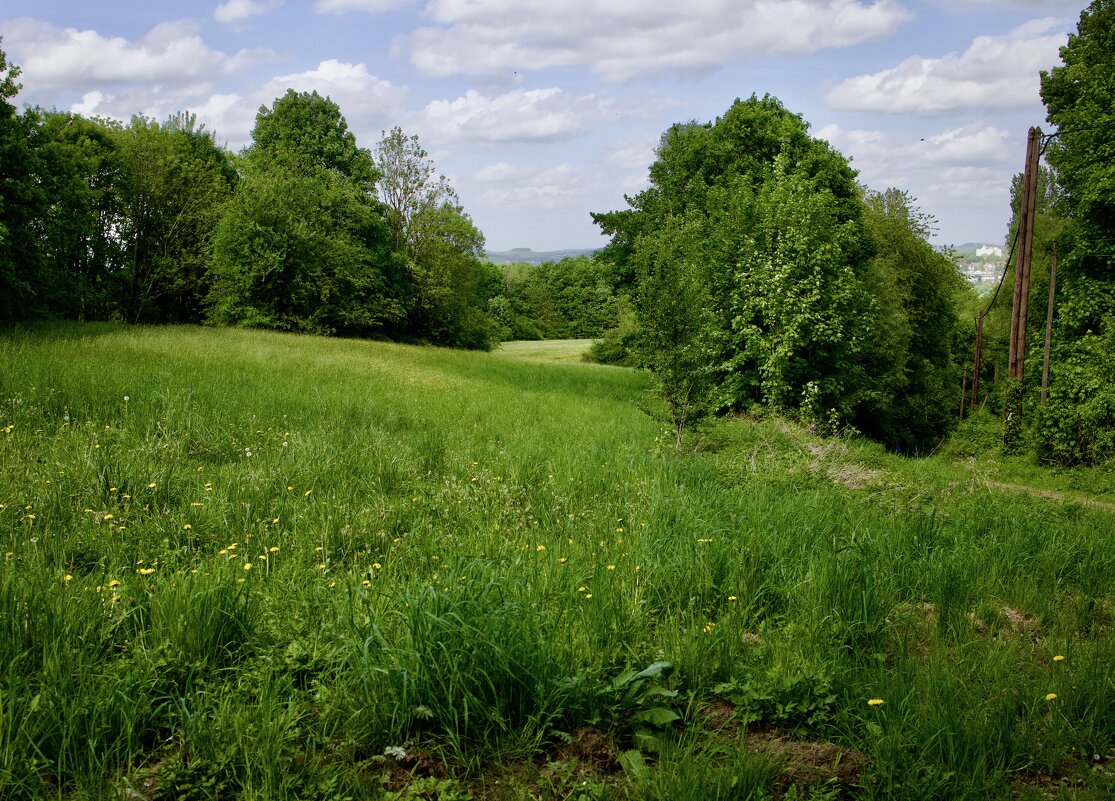 Весенний пейзаж. - Lucy Schneider Весенний пейзаж. - Lucy Schneider