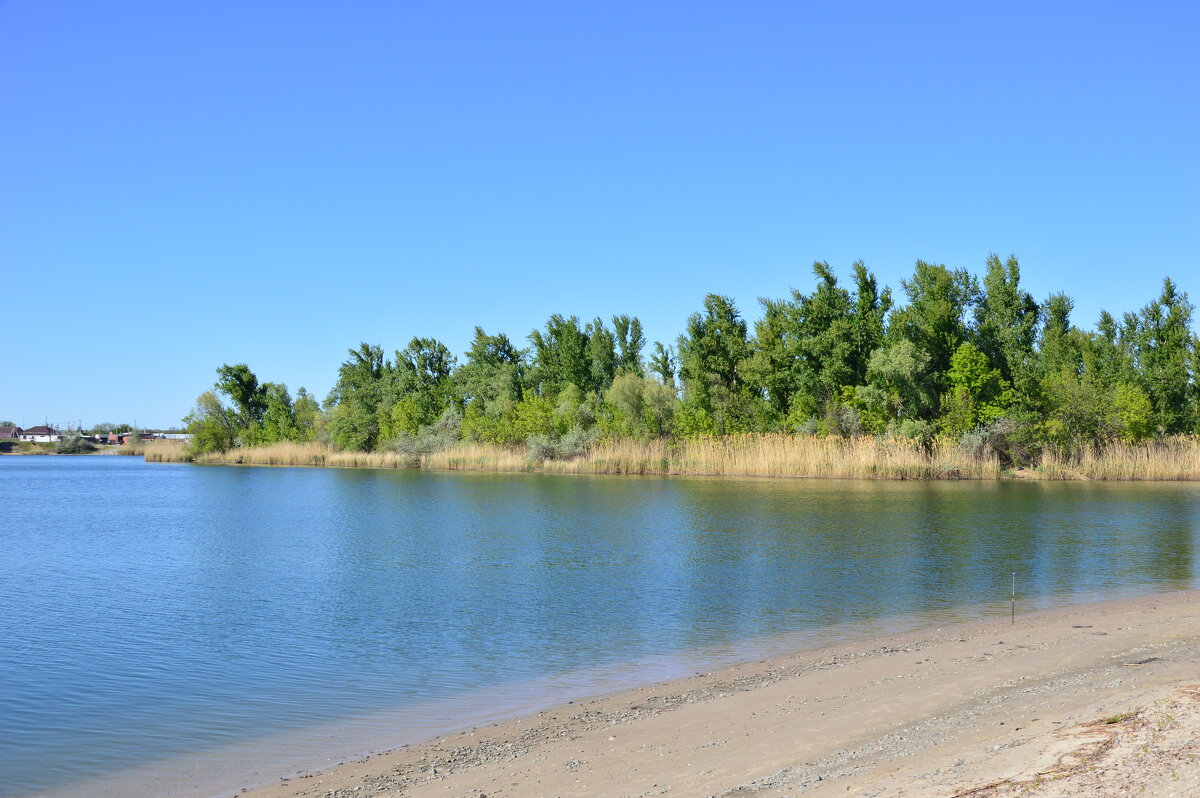 Местные пейзажи. - Виктор Местные пейзажи. - Виктор