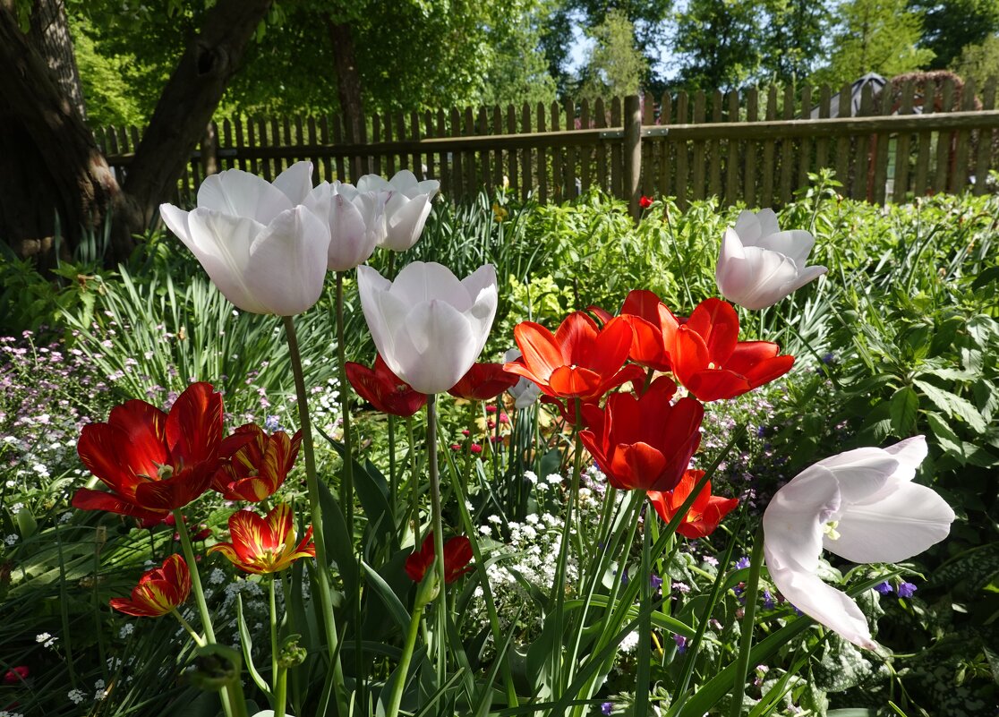 Весна, куда свой взор ни кинь. ... - Галина Весна, куда свой взор ни кинь. ... - Галина