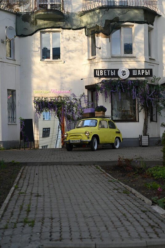 "горбатый" - Митяй Митрич