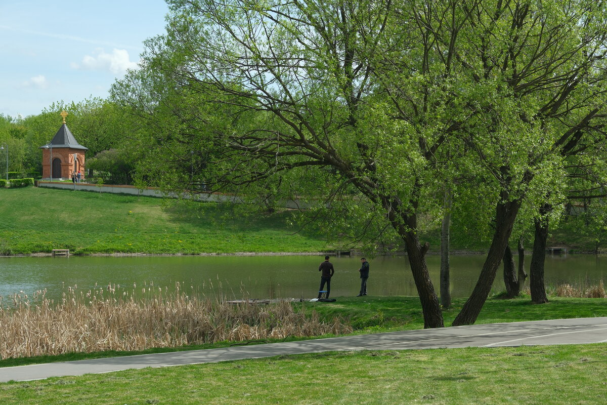 Покровский парк - Лютый Дровосек